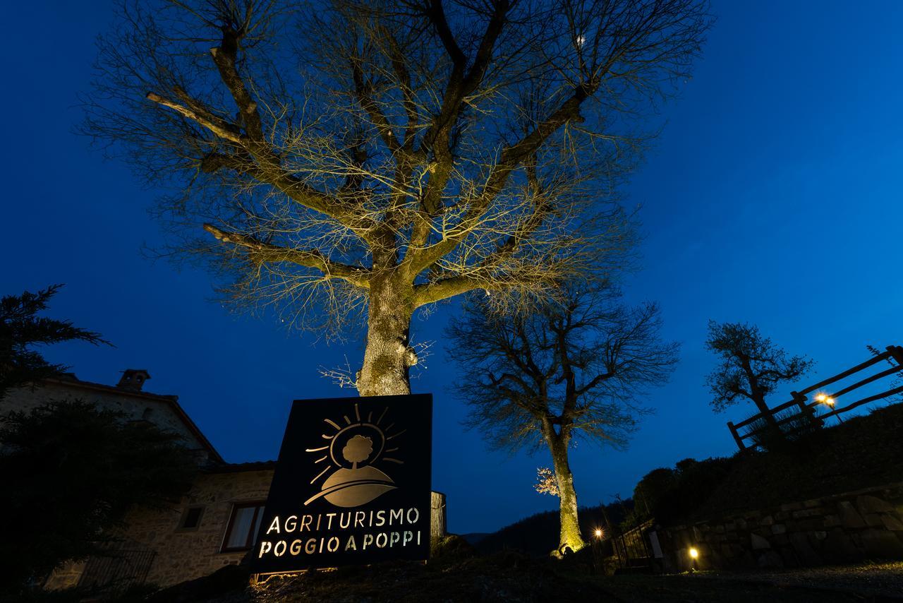 Poggio A Poppi Villa Bagian luar foto