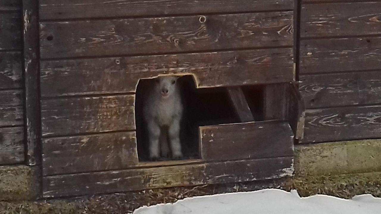 Poggio A Poppi Villa Bagian luar foto